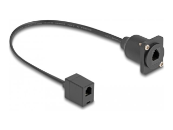 Delock Netzwerkkabel - RJ-10 (W) zu RJ-10 (W)