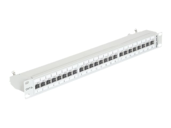Delock Patch Panel - CAT 6a - RJ-45 X 24 - Hellgrau RAL 7035 - 1U - 48.3 cm (19)
