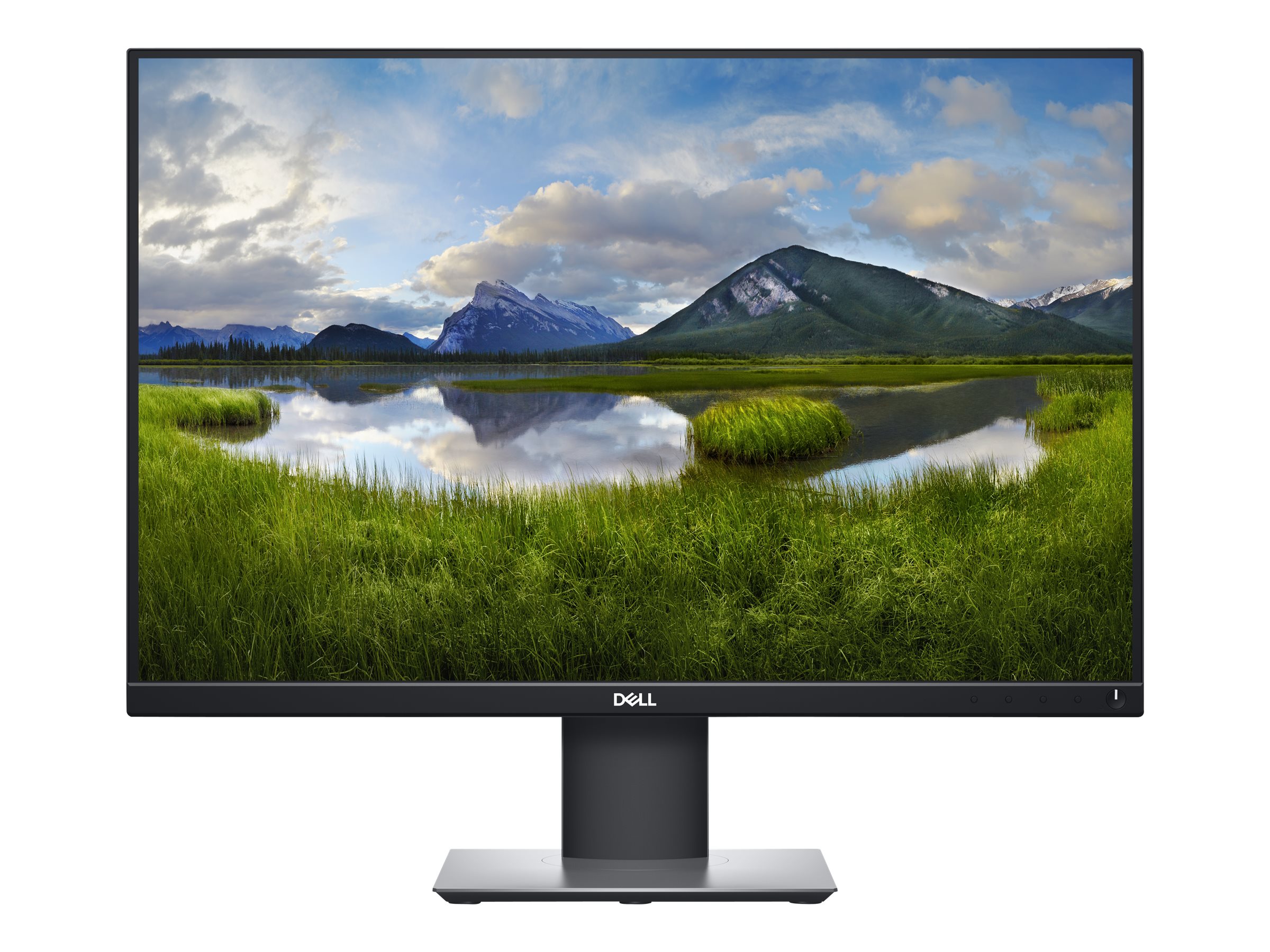 Dell P2421 - LED-Monitor - 61.13 cm (24.1) - 1920 x 1200 WUXGA @ 60 Hz