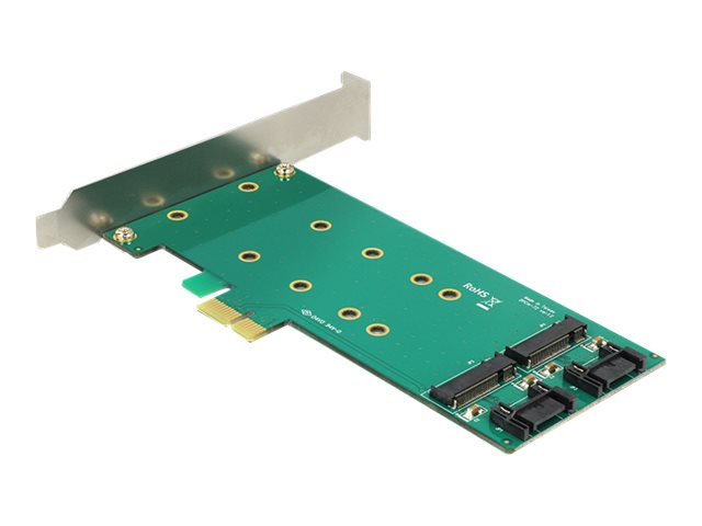 Delock PCI Express Card > 2 x internal M.2 - Speicher-Controller