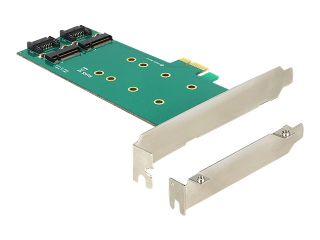 Delock PCI Express Card > 2 x internal M.2 - Speicher-Controller