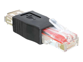 Delock USB-Adapter - RJ-45 (M) zu USB (W)