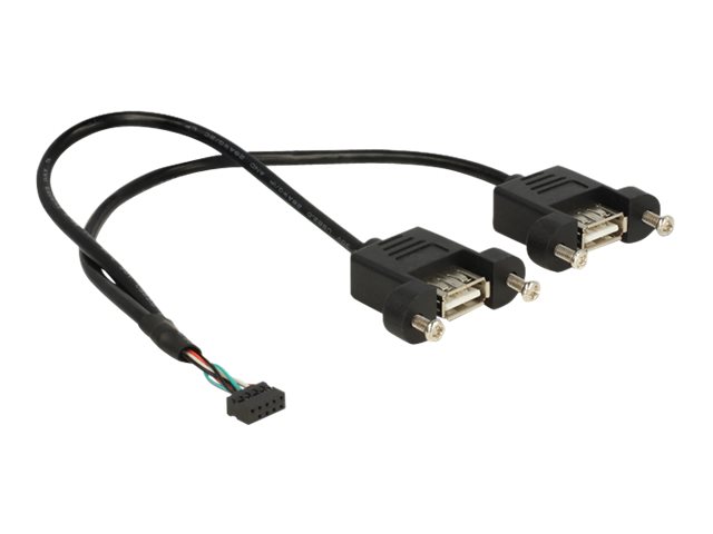 Delock USB-Kabel intern auf extern - 10-poliger USB-Header (W)
