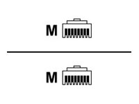 ROLINE Patch-Kabel - RJ-45 (M) bis RJ-45 (M)
