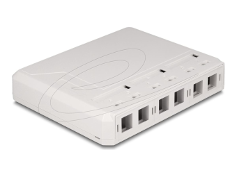 Delock Gehäuse mit modularen Einsätzen - Keystone-Oberfläche montierte Box