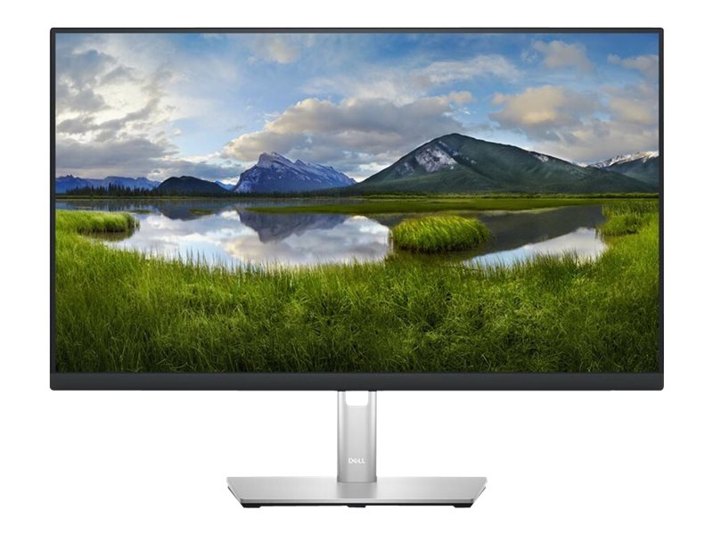 Dell P2423DE - LED-Monitor - 60.45 cm (23.8)