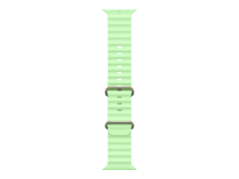 Apple Armband für Smartwatch - 49 mm natürliche Titan-Oberfläche
